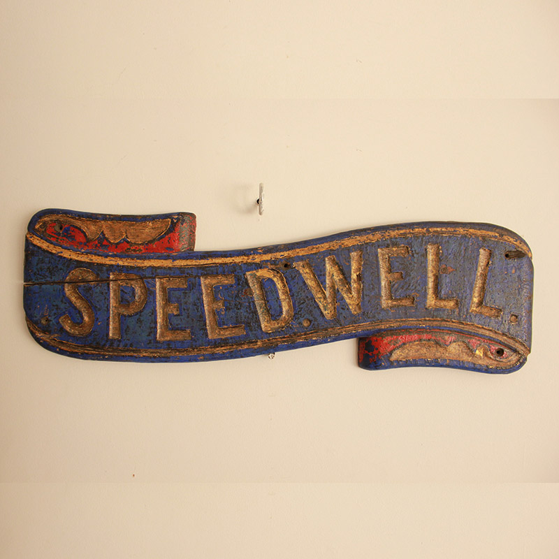 Speedwell